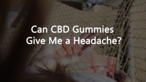 Can CBD Gummies Give Me a Headache